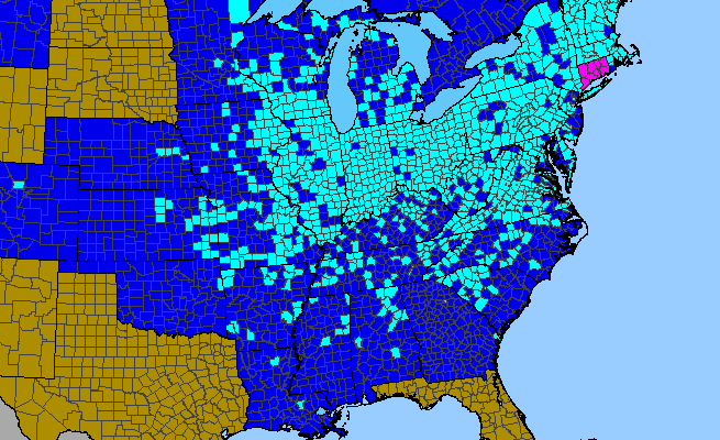 The range of Lysimachia nummularia